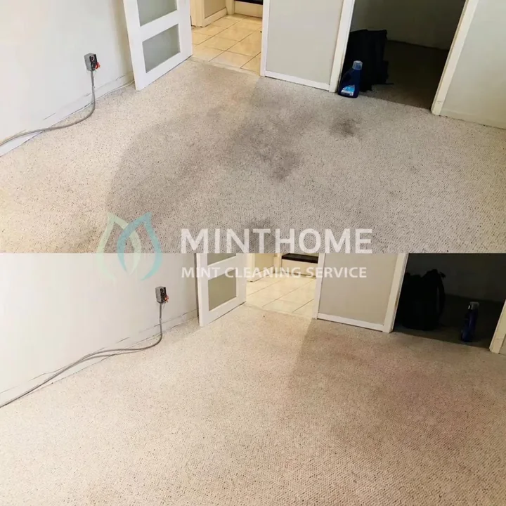 Room carpet, before and after — Visible marks on the room carpet before and after the visit.