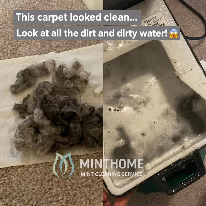 What carpet cleaning collects — Collected lint and extraction water from a cleaning visit. A process photo, not a before-and-after pair.