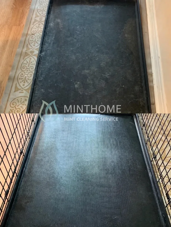 A pet’s corner — Loose hair on a crate tray. Mention pet items separately when discussing the cleaning scope.