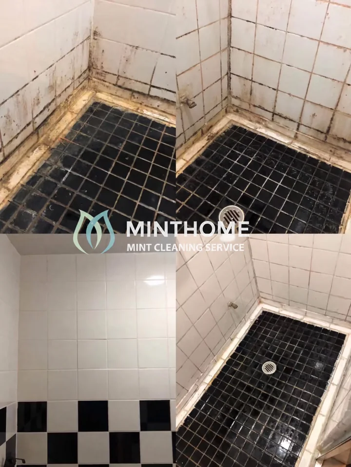 Shower tiles and edges — Surface cleaning around tiles and grout. Scope depends on the condition of the grout and sealant.